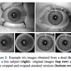 Illustration for article titled To Fool This Iris Scanner, Youre Gonna Need a Really Fresh Eyeballem/em